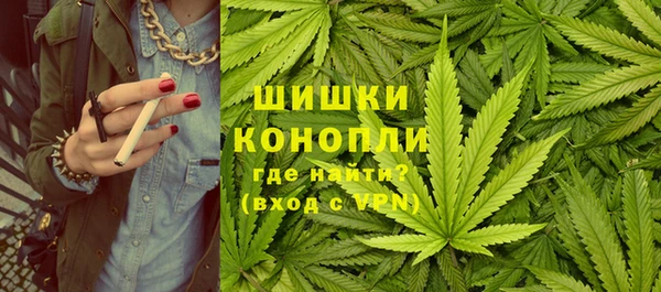 спайс Арсеньев