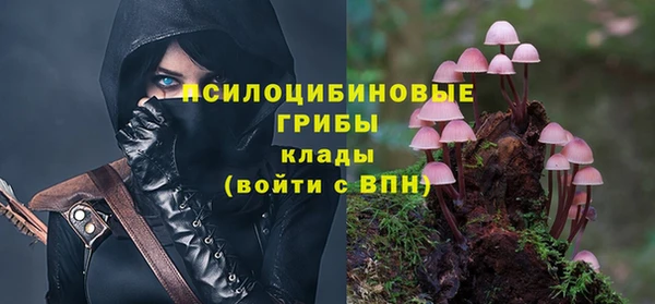 спайс Арсеньев