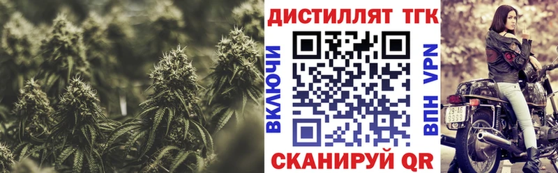 Дистиллят ТГК концентрат Стародуб